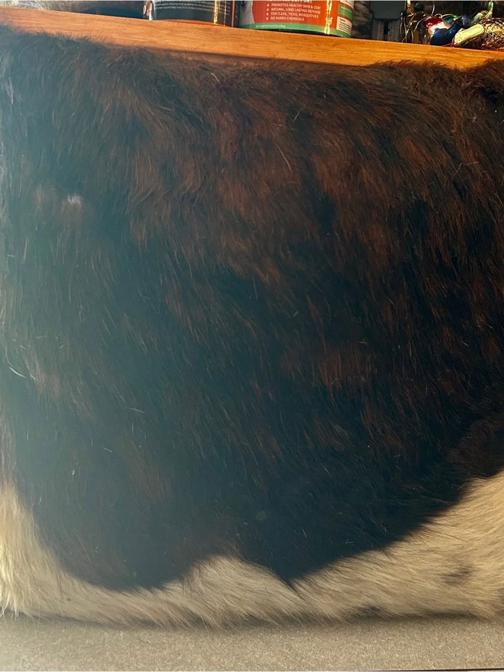 Cowhide Accent Pillow in Black and Brown - Unbranded